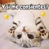 Y si me consientes?