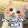 Te voy a querer 100pre