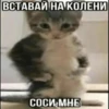 EDBXqVH_by_achestickbot 23