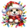 Surtiditos Navideños💞3🇵🇪Clásica 9