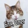 НY блR ... ⬅ ? 7