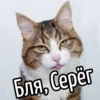 НY блR ... ⬅ ? 8