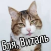 НY блR ... ⬅ ? 10