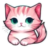 Surtiditos Cute Color Rosa💞1🇵🇪Clásica 5