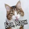 НY блR ... ⬅ ? 12