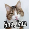 НY блR ... ⬅ ? 13