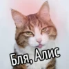 НY блR ... ⬅ ? 15