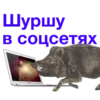 URSCoZl_by_achestickbot 11