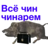 URSCoZl_by_achestickbot 12