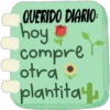 Querido Diario 📖🖋 11