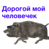 URSCoZl_by_achestickbot 15