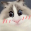 🐈🐹 HaMsTeR KiTtEn 🐹🐈 18