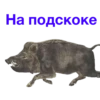 URSCoZl_by_achestickbot 16