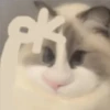 🐈🐹 HaMsTeR KiTtEn 🐹🐈 20