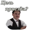 Цель приезда?