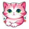 Surtiditos Cute Color Rosa💞1🇵🇪Clásica 19