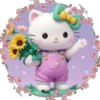 Hello kitty ✺5🇻🇪 13