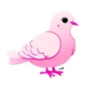Surtiditos Cute Color Rosa💞1🇵🇪Clásica 16