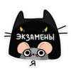Крис 18