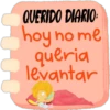 Querido Diario 📖🖋 15