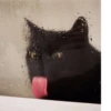 Kitten~ — 18
