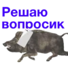 URSCoZl_by_achestickbot 23