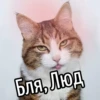 НY блR ... ⬅ ? 21