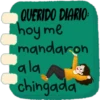 Querido Diario 📖🖋 20