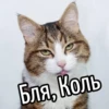 НY блR ... ⬅ ? 23