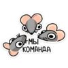 Крис 24