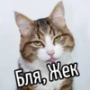 НY блR ... ⬅ ? 24