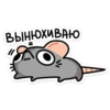 Крис 26