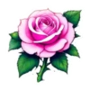 Surtiditos Cute Color Rosa💞1🇵🇪Clásica 27