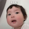 lalaaaa 24
