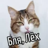 НY блR ... ⬅ ? 25