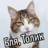 НY блR ... ⬅ ? 26