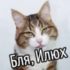 НY блR ... ⬅ ? 28