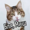 НY блR ... ⬅ ? 29