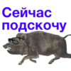 URSCoZl_by_achestickbot 30