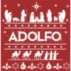 Pesebre  Navideño 7