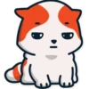 Gatitos💞16🇵🇪Clásica 9