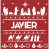 Pesebre  Navideño 10