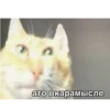 UpaBzol_by_achestickbot 11