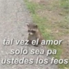 tal vez el amor solo sea pa ustedes los feos