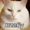 Hanka’s fav stickers — 13