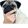 Hanka’s fav stickers — 14