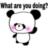 What are you doing?