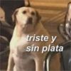 triste y sin plata