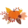 Lovely autumn 2017 20