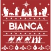 Pesebre  Navideño 14